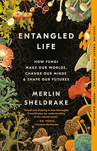 Entangled Life: How Fungi Make Our Worlds, Change Our Minds and Shape Our Futures
