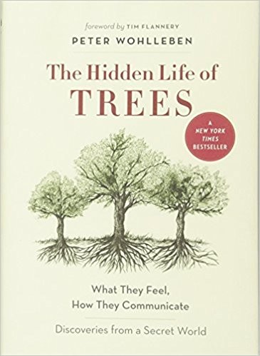 The Hidden Life of Trees